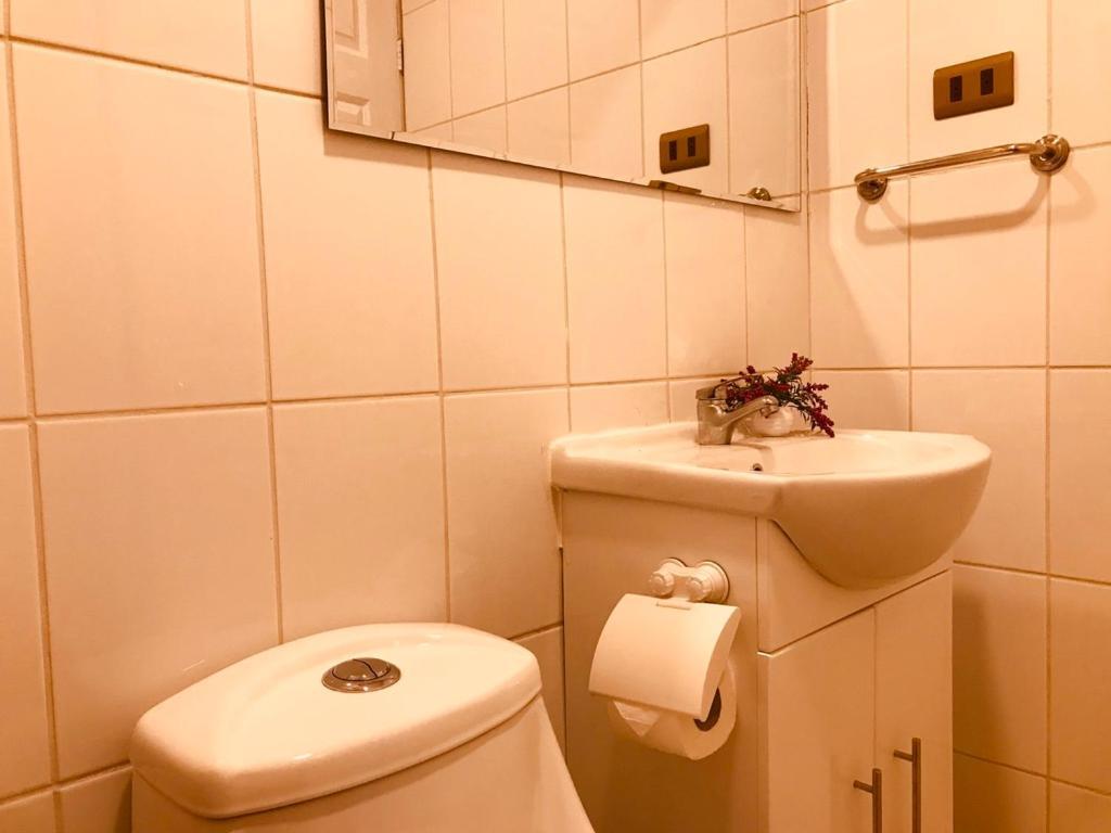 Apart Hotel Don Domingo Темуко Экстерьер фото